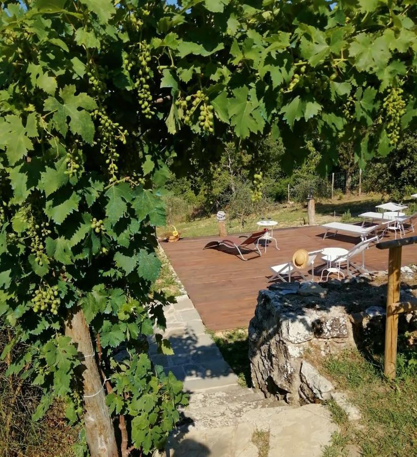 B&B Casagrande Quercegrossa Εξωτερικό φωτογραφία